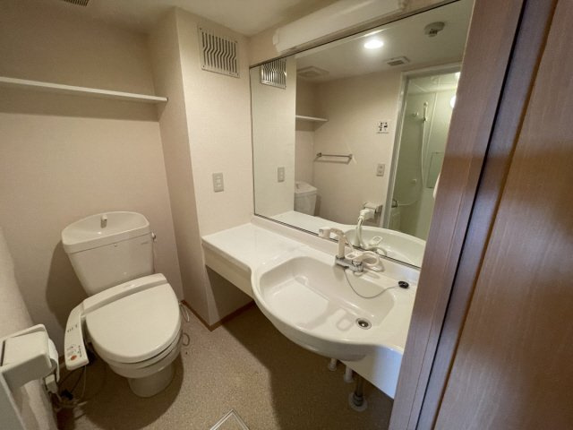 憩ハイツの洗面所