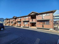 ベルテサクラの画像