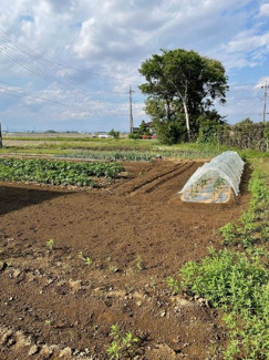 【その他】 | 鴻巣市笠原　売地２区画