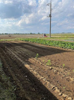 【その他】 | 鴻巣市笠原　売地２区画