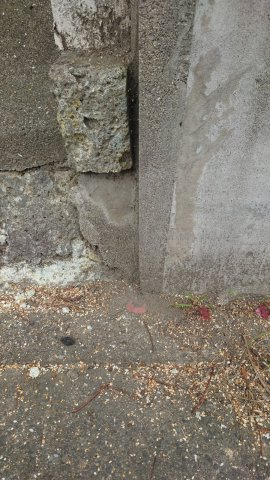 彦根市大藪町古屋付土地のその他|境界