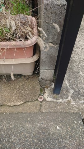 彦根市大藪町古屋付土地のその他|境界