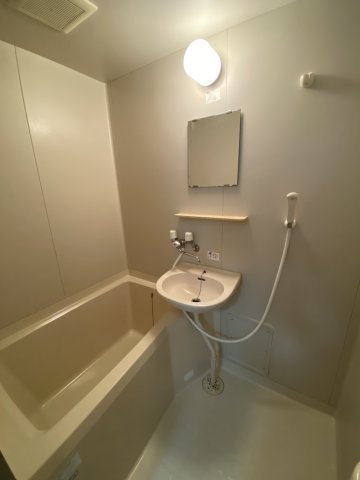 ルイシャトレの浴室|洗面台とシャワーがあるコンパクトなお風呂です。