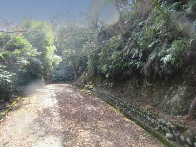 丸美リッチランド斧峠③の前面道路含む現地写真