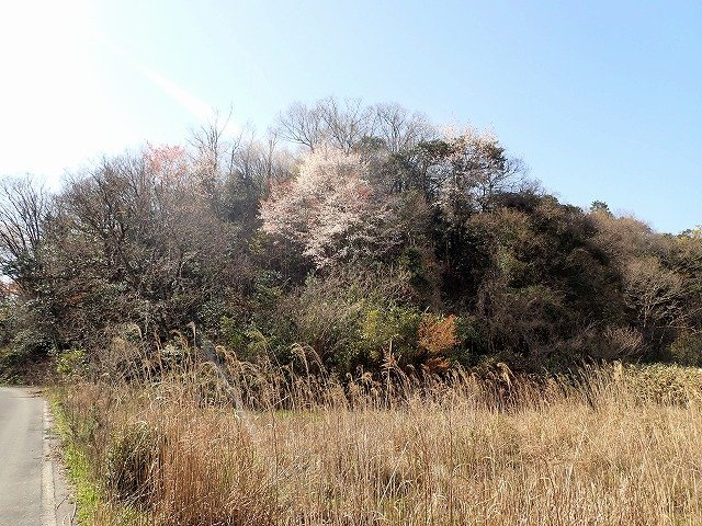 岩美郡岩美町牧谷土地の外観