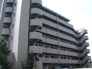 エバンタイユの画像