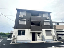 パラディの画像