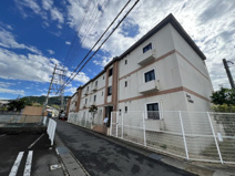 メリーコンフォートの画像