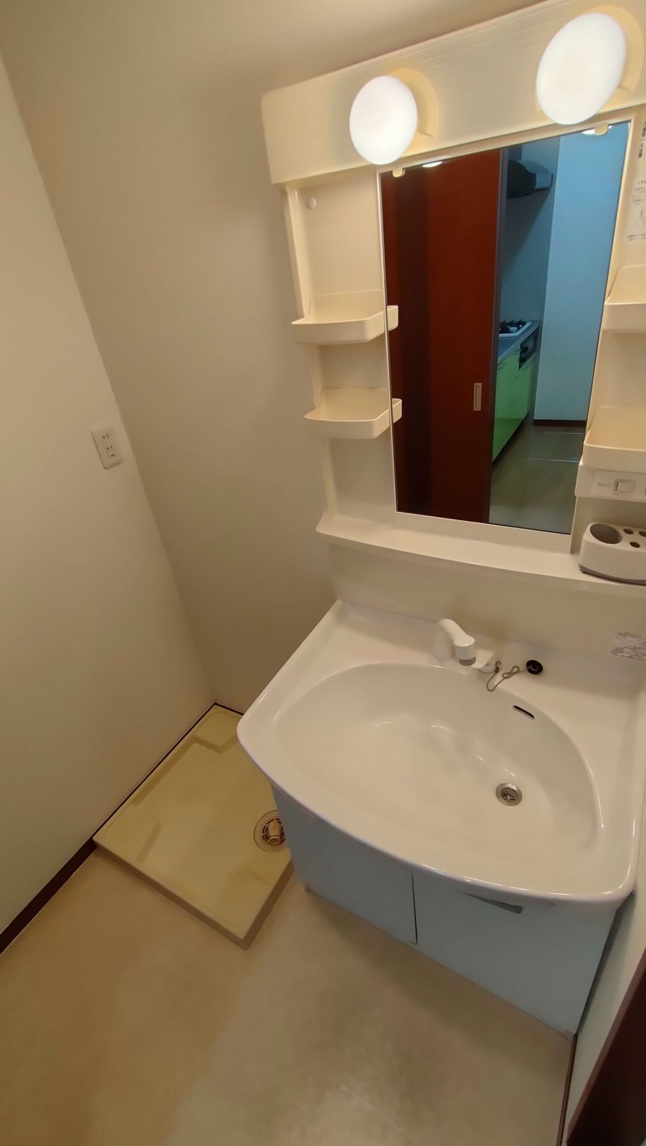 ヴィラ坂本の洗面所