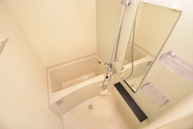 ラヴィータ難波元町の浴室