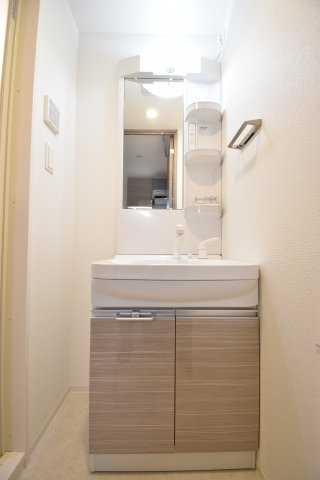 ラヴィータ難波元町の独立洗面台