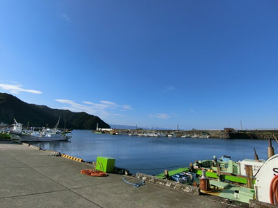 【その他】 | 伊東市川奈　戸建 | すぐ目の前にある港です。