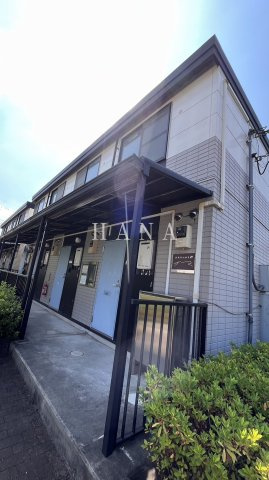 ゴールドの外観
