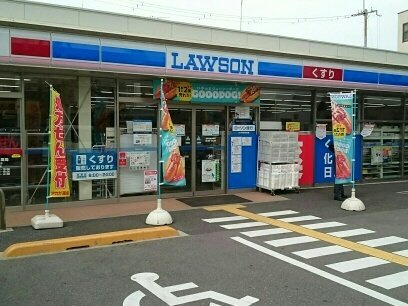 Ｎｉｃｅｗｅｌｌ　鴻池の周辺|ローソン様まで240m