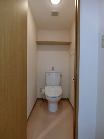 リバーコートCのトイレ|イメージ3-3号室の写真