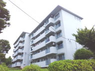 鶴川2丁目団地11-5号棟の画像
