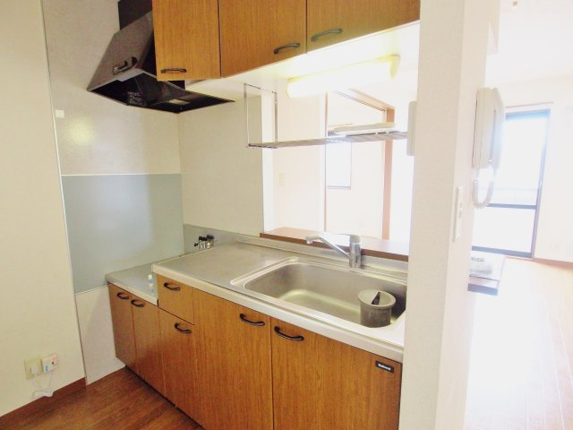 ディアスエコーのキッチン