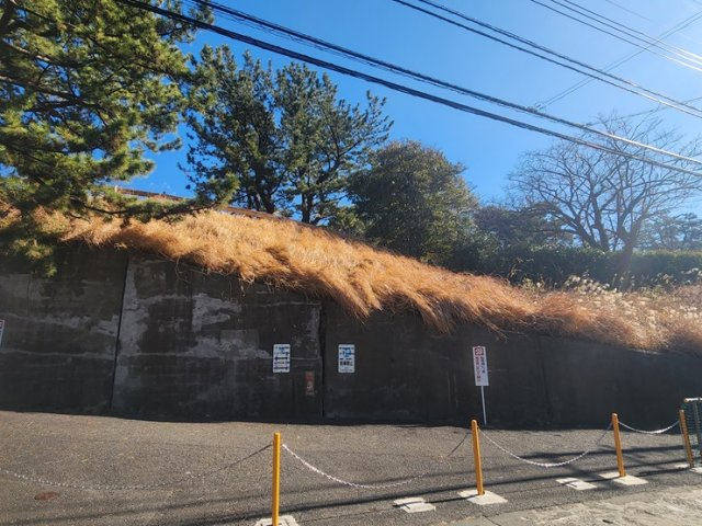海見え！江の島一望　旧社宅跡地の大型用地の外観