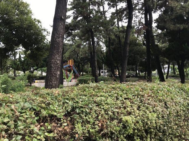 アリーム稲毛海岸の周辺