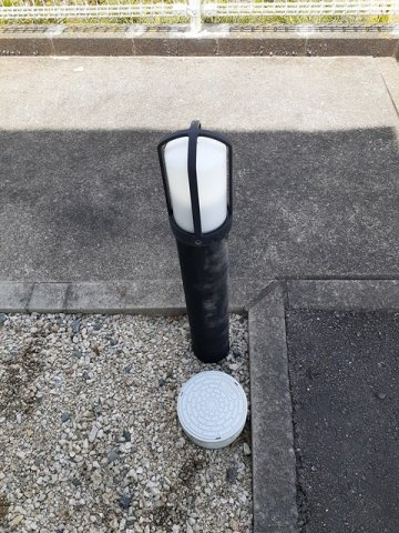 プリムラ　Ｂのその他