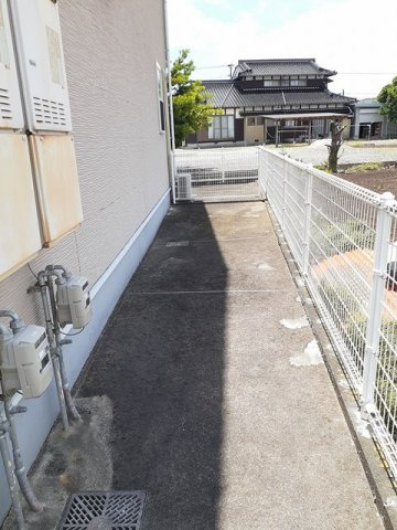 プリムラ　Ｂのその他