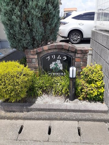 プリムラ　Ｂのその他