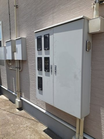 プリムラ　Ｂのその他