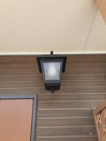 プリムラ　Ｂのその他