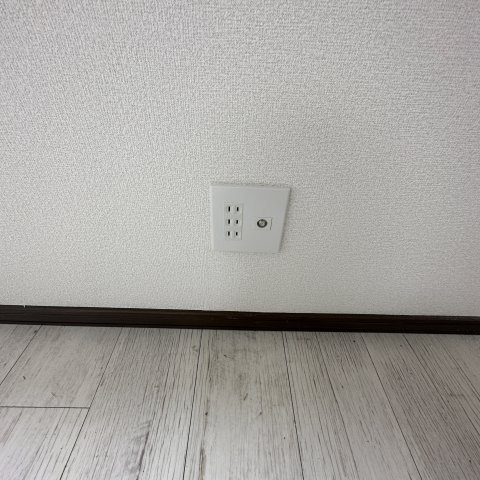 セゾン・ド・フェニックスのその他