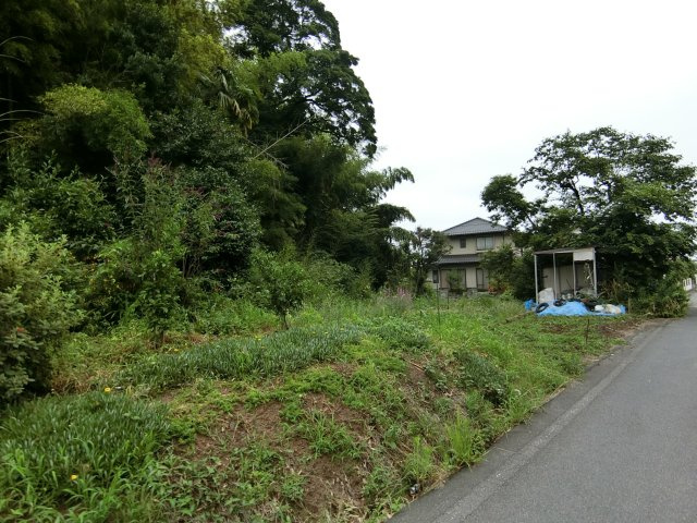 荒島町売り土地の周辺