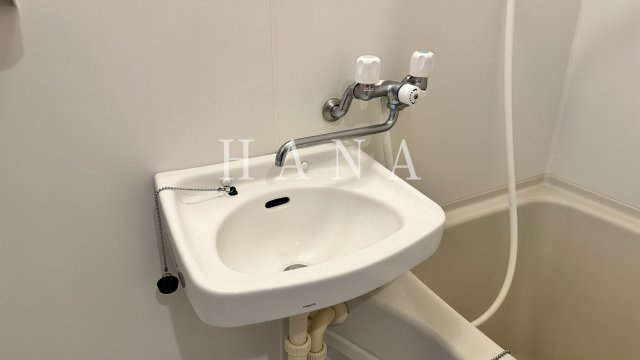 マーベラス国分寺内藤Ⅱの洗面所