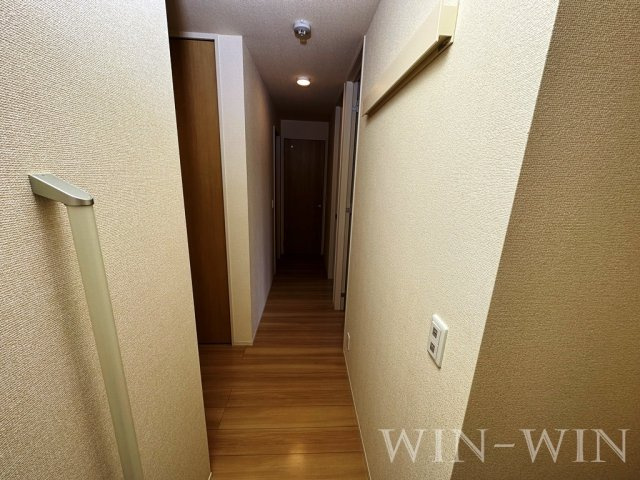 ヴァイオレットのその他