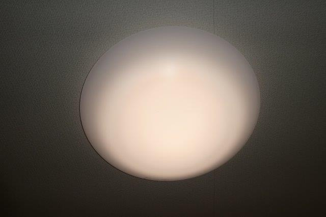 グリーンパレスⅢの設備|照明