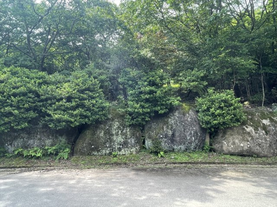 【外観】 | 宇佐美みのりの村　売地