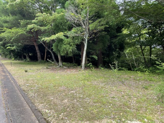 【外観】 | 宇佐美みのりの村　売地