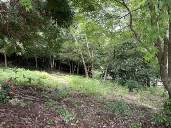 【外観】 | 宇佐美みのりの村　売地