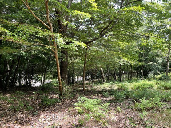 【外観】 | 宇佐美みのりの村　売地