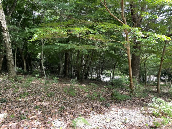 【外観】 | 宇佐美みのりの村　売地
