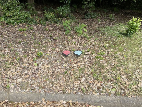 【その他】 | 宇佐美みのりの村　売地