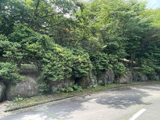 【外観】 | 宇佐美みのりの村　売地