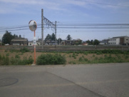 深谷市岡 300万 土地の画像