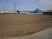 深谷市岡 650万 土地の画像