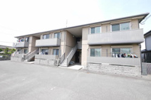 ティアラ *の画像