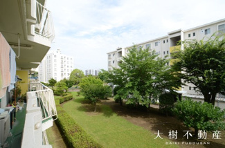 【展望】