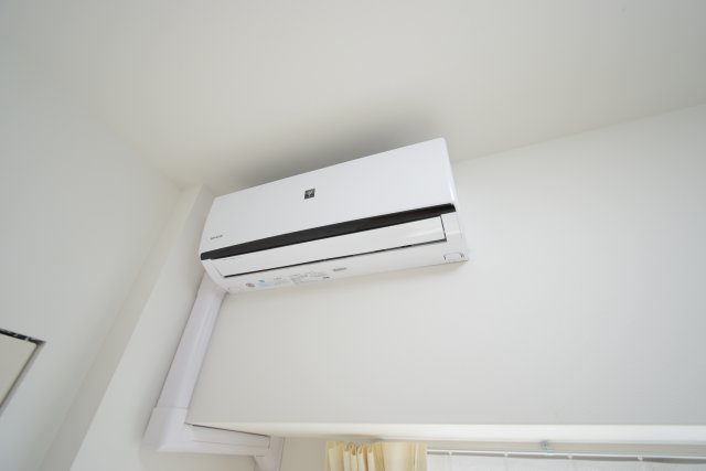 グランパシフィック泉尾Luxeのその他