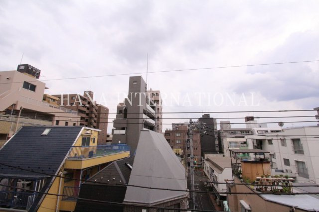 ラフィスタ調布多摩川の展望