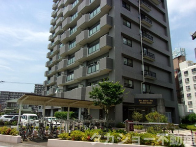 【外観】 | ダイアパレス五井　ステーションタワー