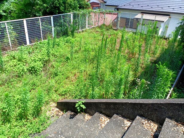 油平 売地　◇緑に囲まれた閑静な住宅地◇