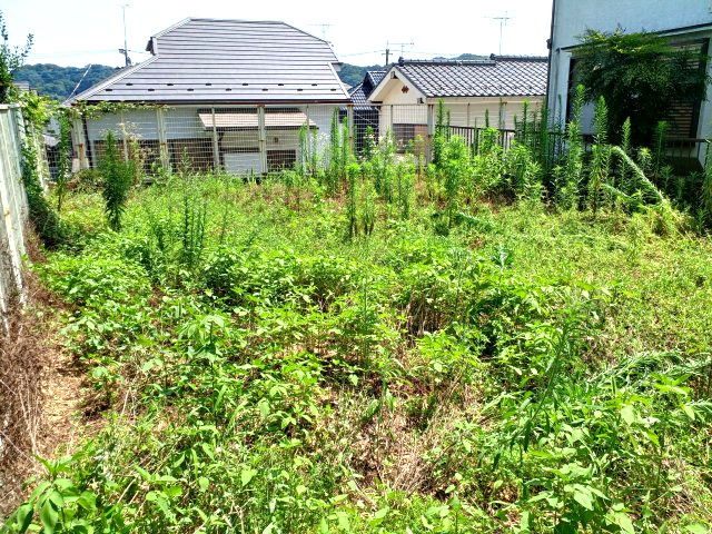 油平 売地　◇緑に囲まれた閑静な住宅地◇のその他