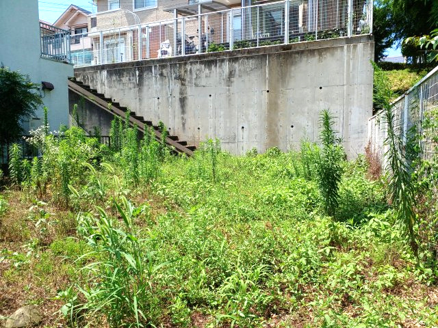 油平 売地　◇緑に囲まれた閑静な住宅地◇のその他